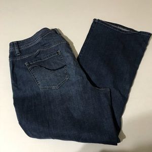 Lane Bryant Bootcut Genius Fit Jeans Sz. 24R